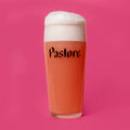 Pastore Doom II Flanders Red Style Wild Ale with Raspberries, Centennial and Gentian Root 440ml (6%)