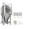 Trillium Scaled IPA 473ml (7%)
