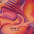 Deep Fried Beers Prodigal Dawn DIPA 473ml (9.2%)