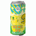 Hammerton Kiwi vs. Gose Sour 440ml (4.3%)