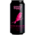 Gravity Well The Rise of Endymion Raspberry, Blueberry & Blackcurrant Sour 440ml (8.5%)