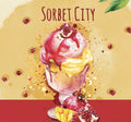 Alchemik Sorbet Mango Pomegranate Fruit Sour 330ml (5.5%)