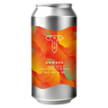 Track Onward Pale Ale 440ml (5.5%)