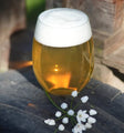 Doskiwis Brewing Defiant Jazz West Coast IPA 440ml (6.7%)