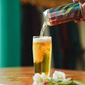 Track Sonoma Cryo Fresh Pale Ale 440ml (3.8%)