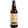 Ideal Day Path To The Sun Field Beer 500ml (4.5%)