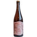 Jester King Vague Recollection Farmhouse Ale Aged on Grape Pomace 750ml (6.8%)