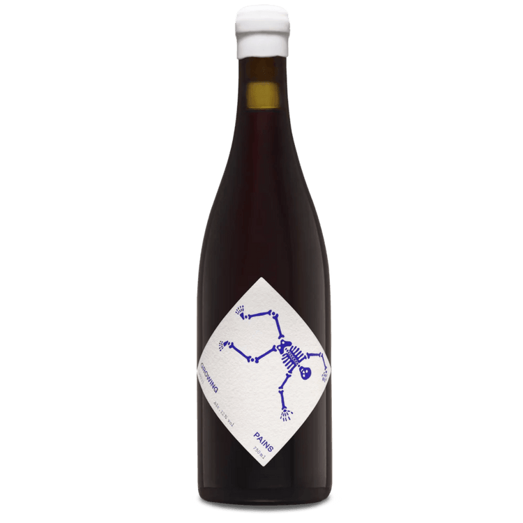 New Theory Growing Pains Cinsault 2023 Natural Red Wine 750ml 12 indiebeer