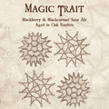 Speciation Magic Trait 2024 Blackberry & Blackcurrant Sour 473ml (8%)