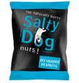Salty Dog Dry Roasted Peanuts (45g)