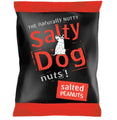 Salty Dog Salted Peanuts (45g)