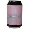 Pivovar Vik Gooseberry Devil Gose 330ml (4.5%)