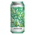 Duration Turtles All The Way Down American Pale Ale 440ml (5.5%)