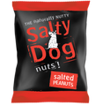 Salty Dog Salted Peanuts (45g)